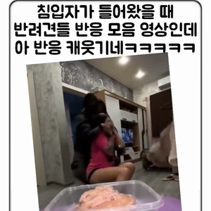 동영상 썸네일