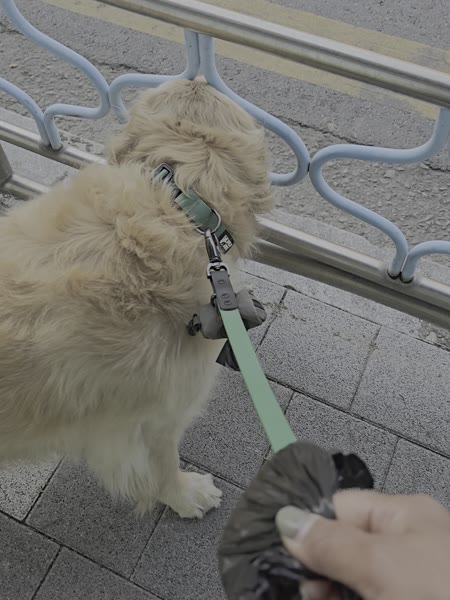 동영상 썸네일