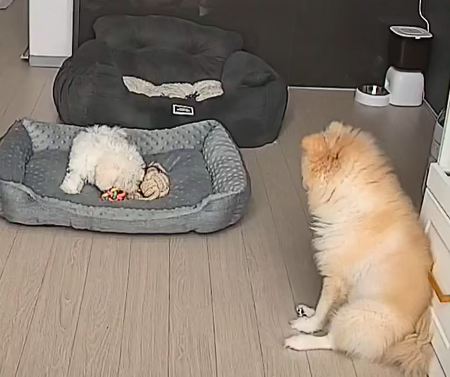 동영상 썸네일