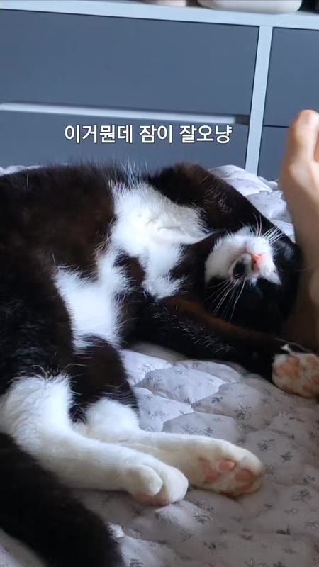 동영상 썸네일