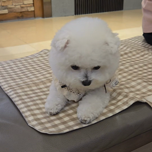 동영상 썸네일
