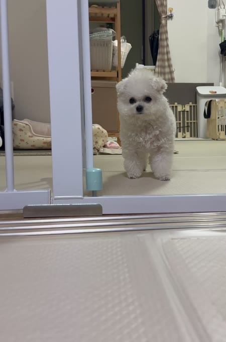 동영상 썸네일
