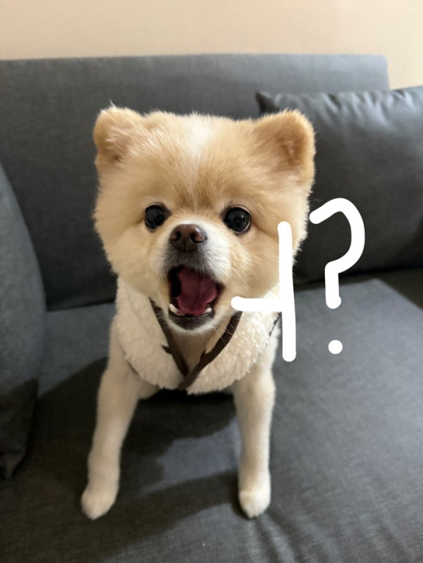 615141e31d0564880139b1ad876f20c8_1747357412_3369.jpeg