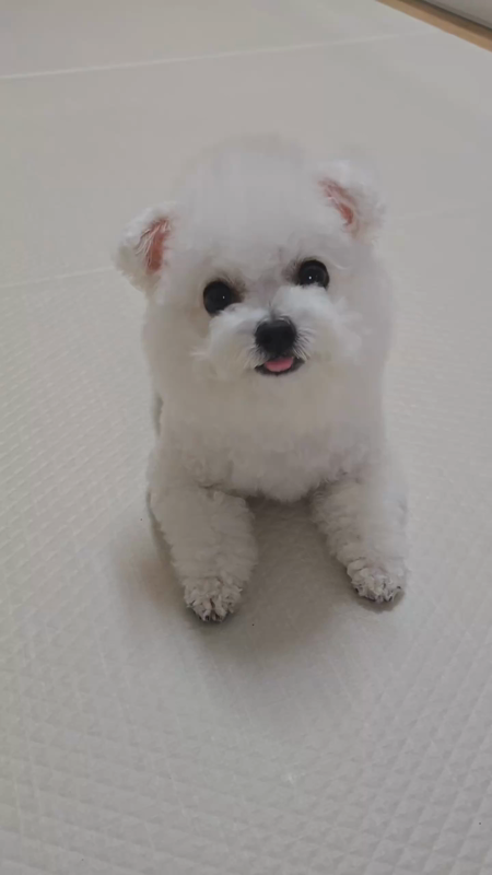 동영상 썸네일