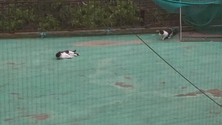 동영상 썸네일