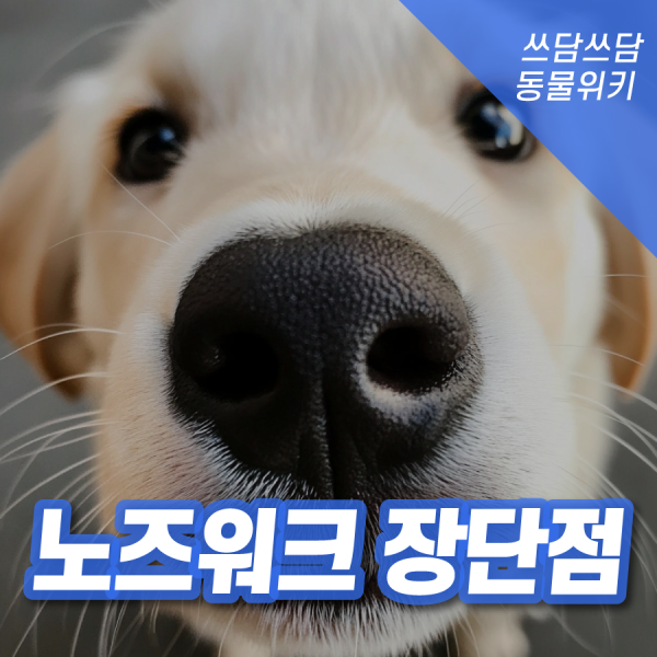 b7dc1a452fc9c0d35a4d053c620cbc69_1747289423_9028.png