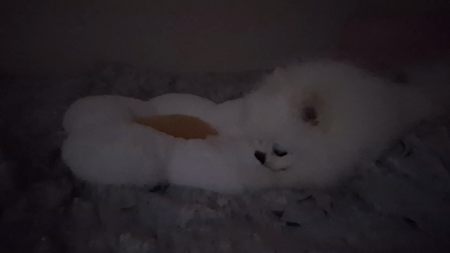동영상 썸네일
