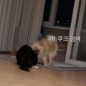 동영상 썸네일