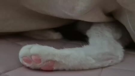 동영상 썸네일