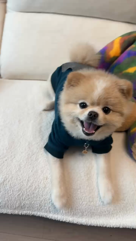 동영상 썸네일