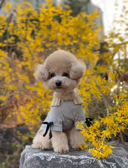 동영상 썸네일