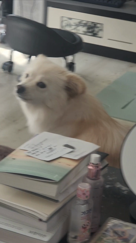 동영상 썸네일