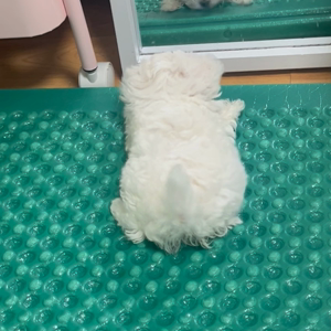 동영상 썸네일