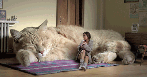 2b186b9e25ad9d0cd6589255f3519082.gif