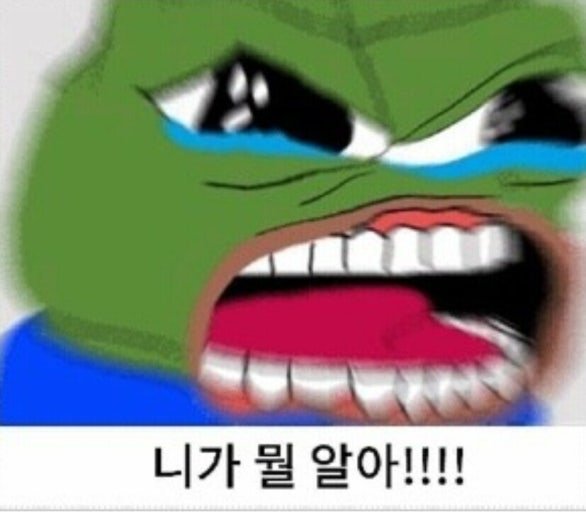 20250609112758_SUqjEGo3hH.jpg