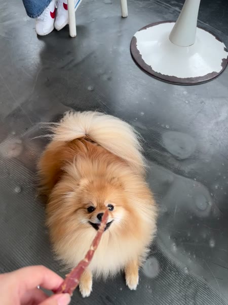 동영상 썸네일