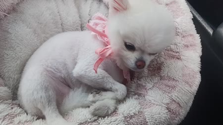 동영상 썸네일