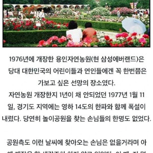 에버랜드 역사상 가장 적은 입장객이 온 날1.webp.jpg