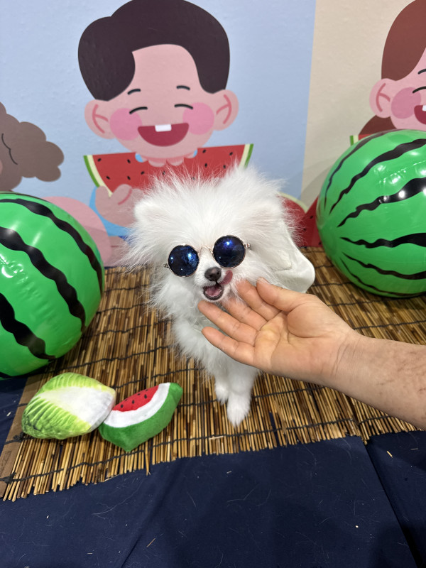 24f1710e713a6600963550fe85b6198f_1749905259_4595.jpeg