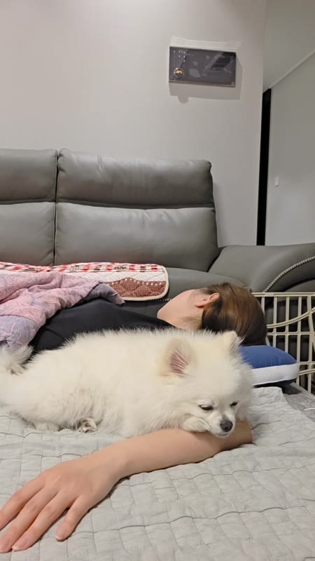 동영상 썸네일