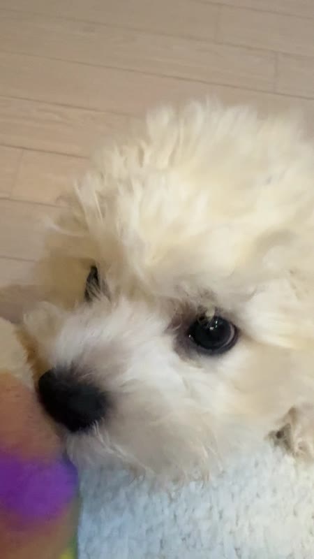 동영상 썸네일