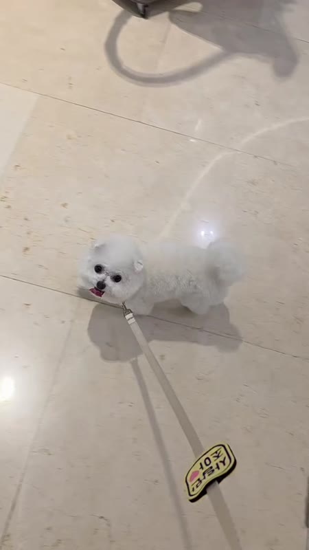 동영상 썸네일