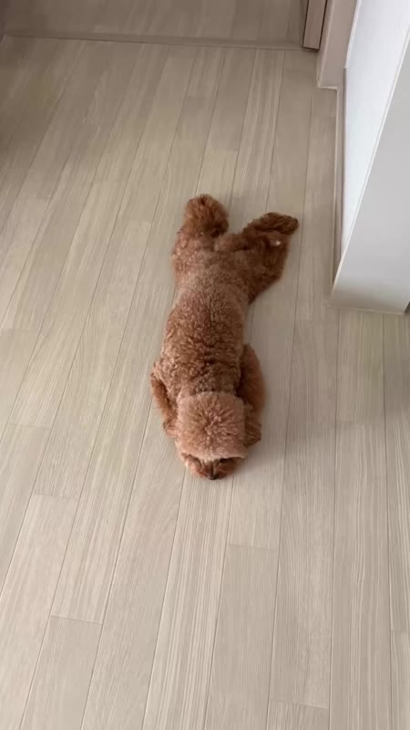 동영상 썸네일