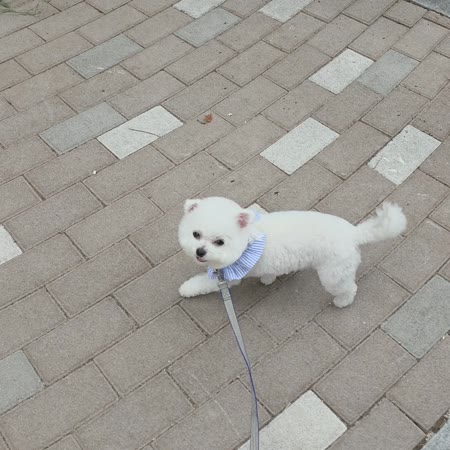 동영상 썸네일