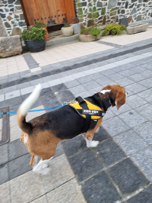 8a10c9d01ccc74b633d35f9d148a3993_1748849091_3353.jpeg