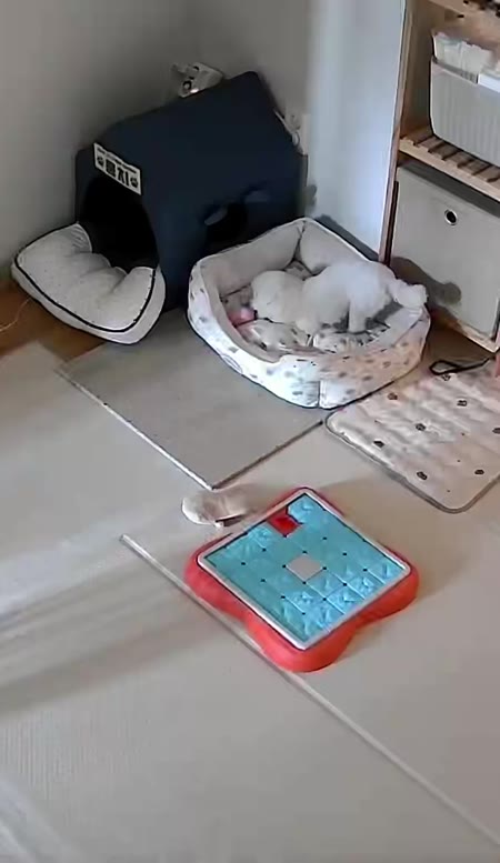 동영상 썸네일