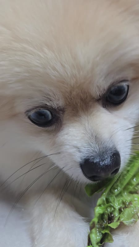 동영상 썸네일