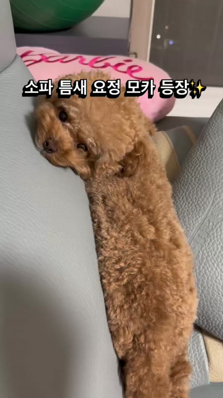 동영상 썸네일