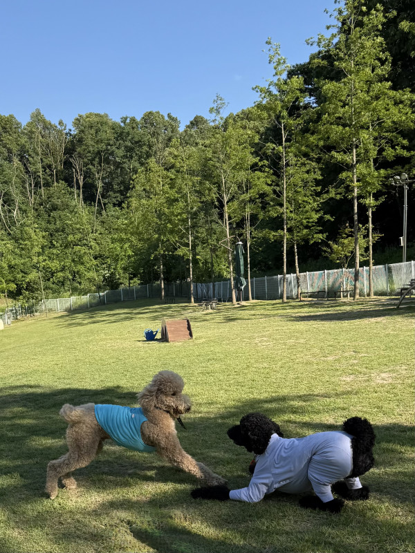 c19300551181858e7a3ab7ad96f8e54e_1749522551_1858.jpeg