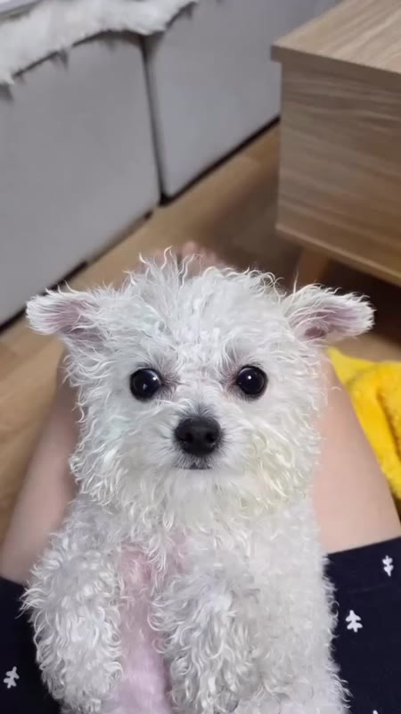 동영상 썸네일