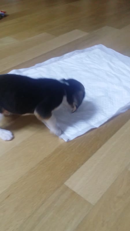 동영상 썸네일