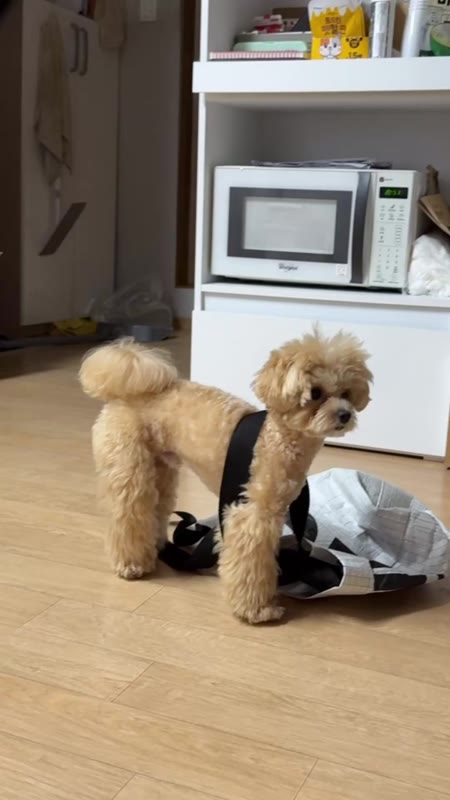 동영상 썸네일