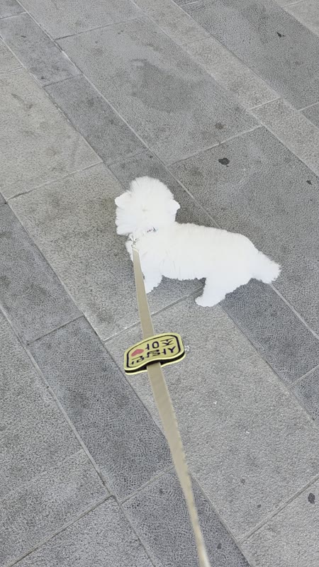 동영상 썸네일