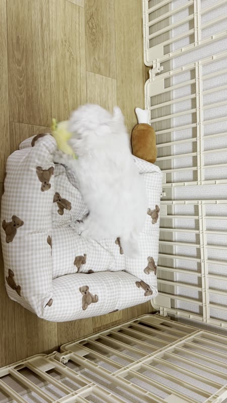 동영상 썸네일