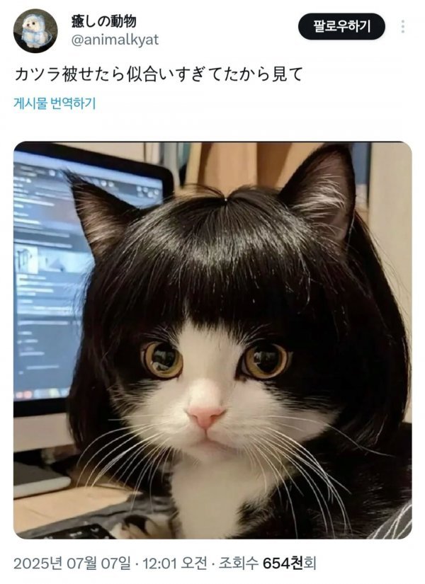 20250708075847_B9DSxYsKiL.jpeg