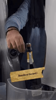 19-2.gif