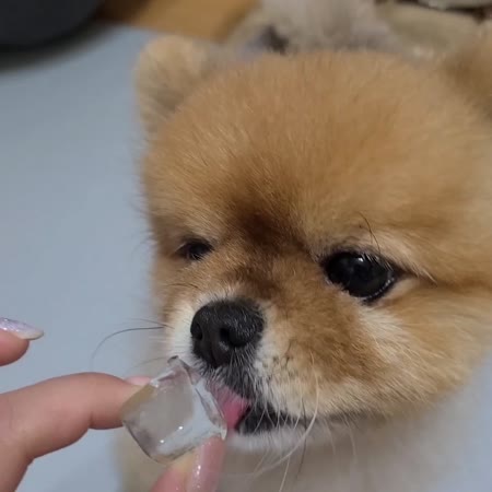 동영상 썸네일