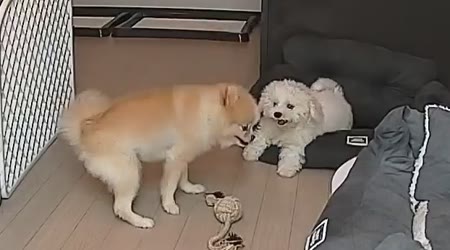 동영상 썸네일