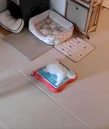 동영상 썸네일