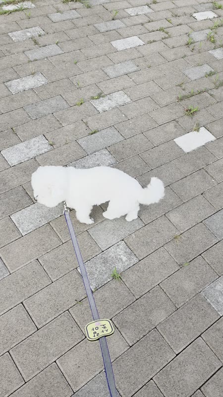 동영상 썸네일