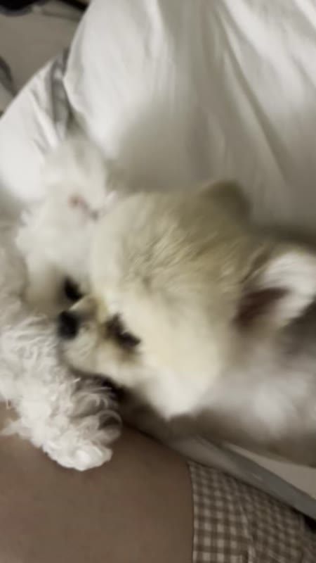 동영상 썸네일
