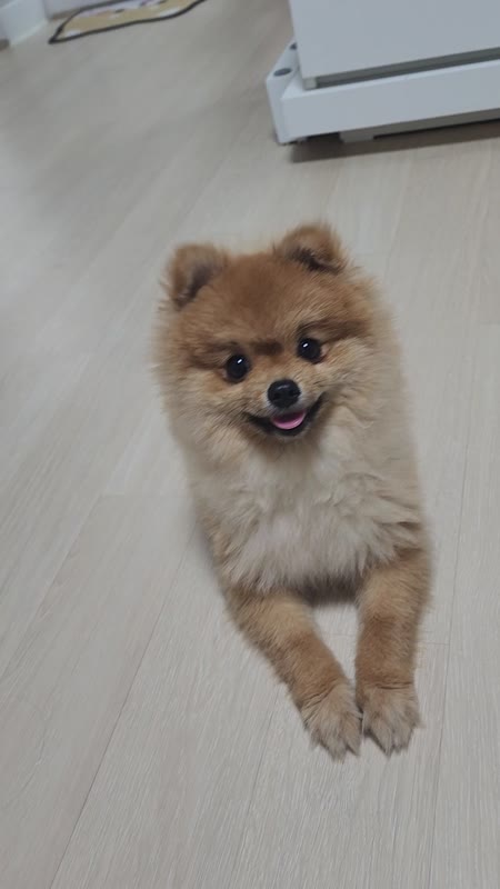 동영상 썸네일