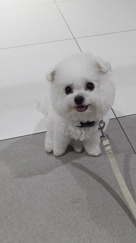 동영상 썸네일