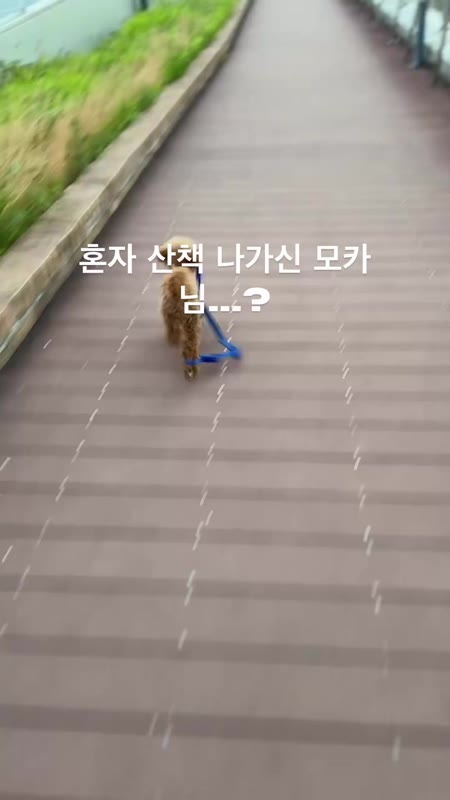 동영상 썸네일