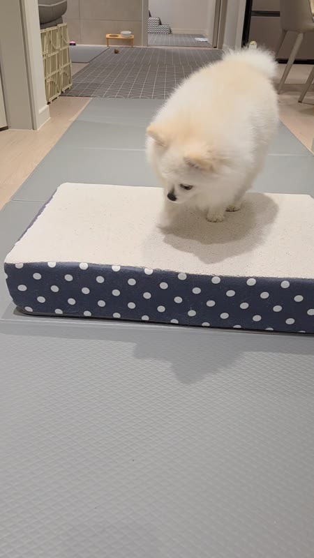 동영상 썸네일