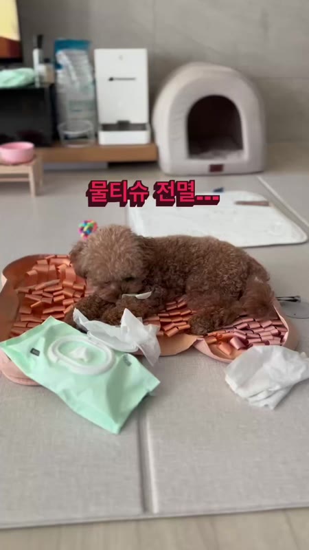 동영상 썸네일